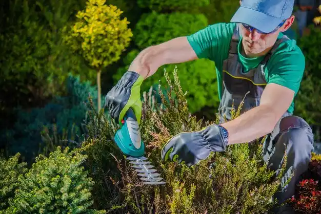 landscaping services Fort Polk North